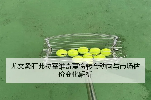 尤文紧盯弗拉霍维奇夏窗转会动向与市场估价变化解析